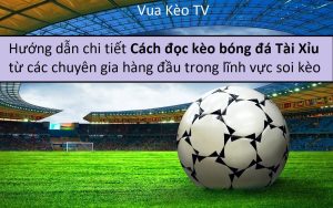 5 Loại Kèo Phạt Góc Thông Dụng Tại V9bet