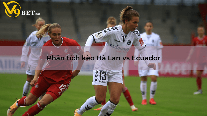 Nhận định kèo tài xỉu Hà Lan vs Ecuador