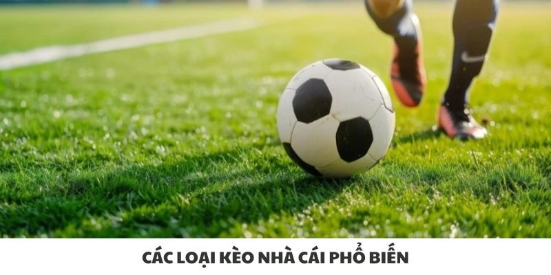 Các loại kèo nhà cái phổ biến