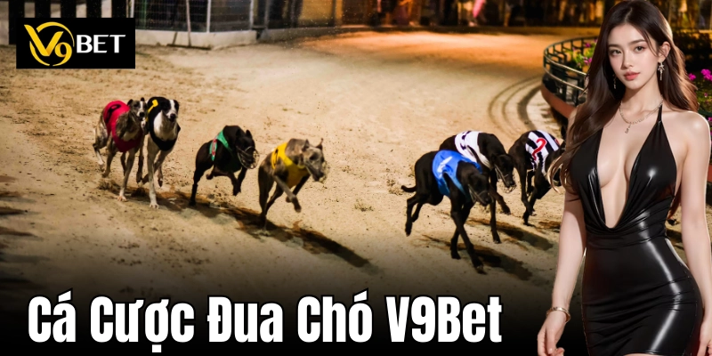 Thông tin cần biết về cá cược đua chó